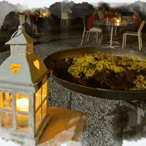 FIESTA SOTTO LE STELLE