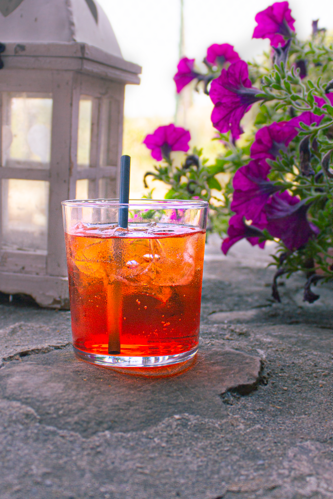 Aperitivo Bio Besana all'Agriturismo Brusignone