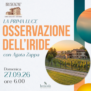 Osservazione dell'Iride
